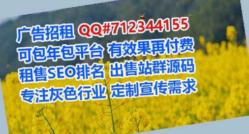 思茅借腹生子网络科技工作室